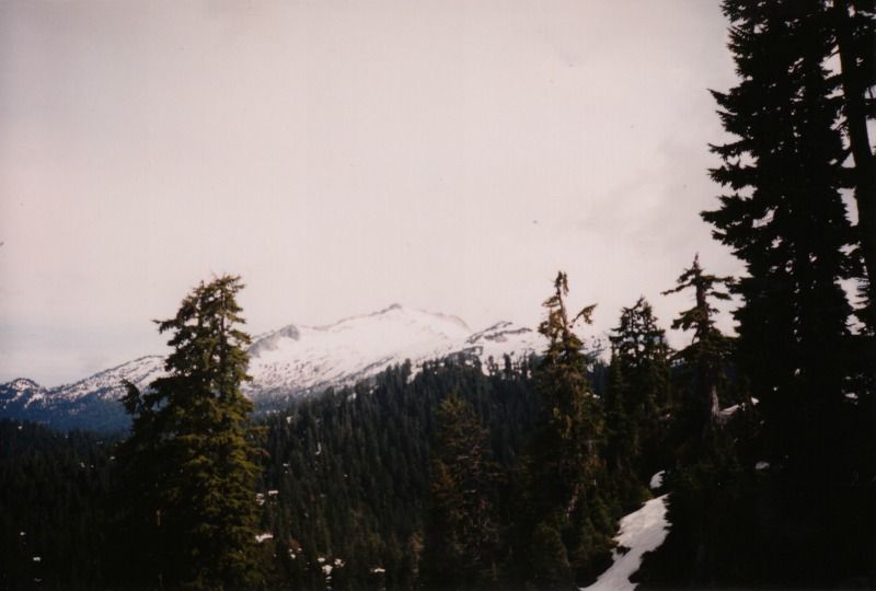 roderick16