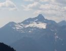 silverdaisy9