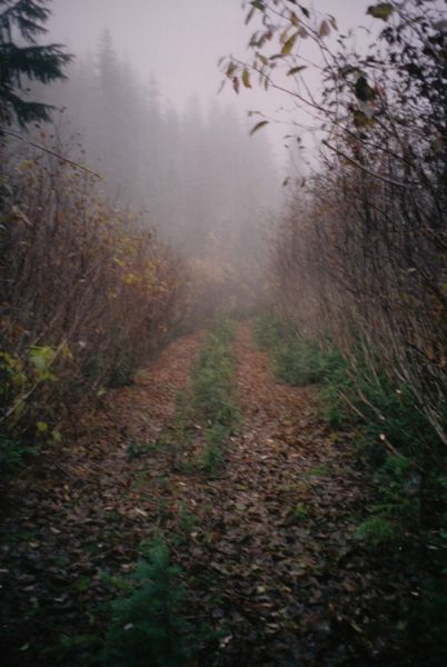charlietrail11