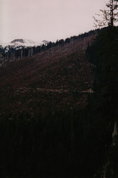 charlietrail23