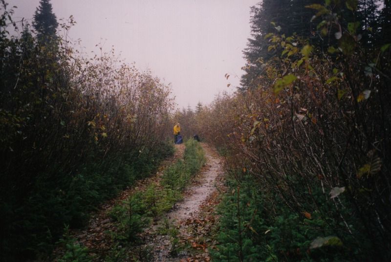 charlietrail8