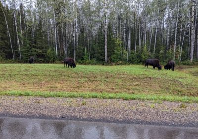 Alaska Highway Day Two - Fort Nelson to Whitehorse