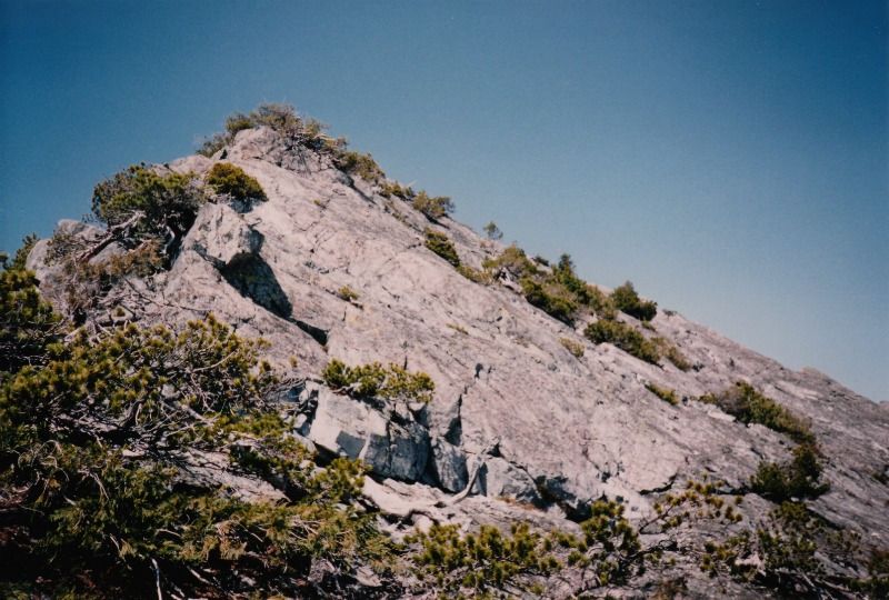 crown10