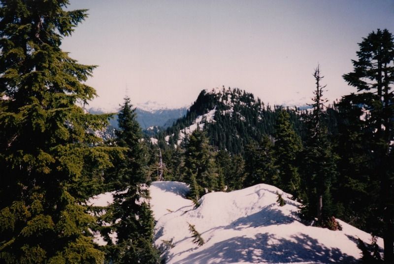 crown14