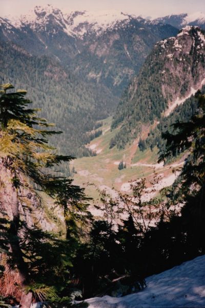 crown3
