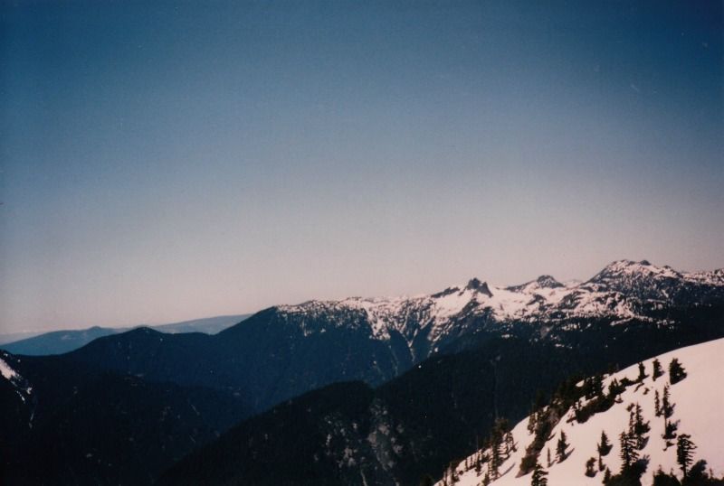 crown9