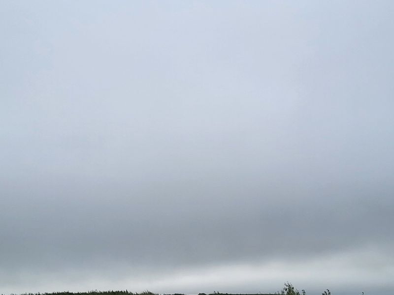 20250815