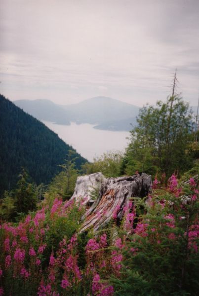 howesoundcrest1