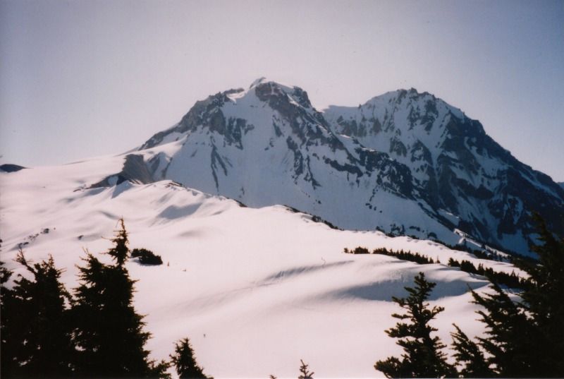 garibaldi1