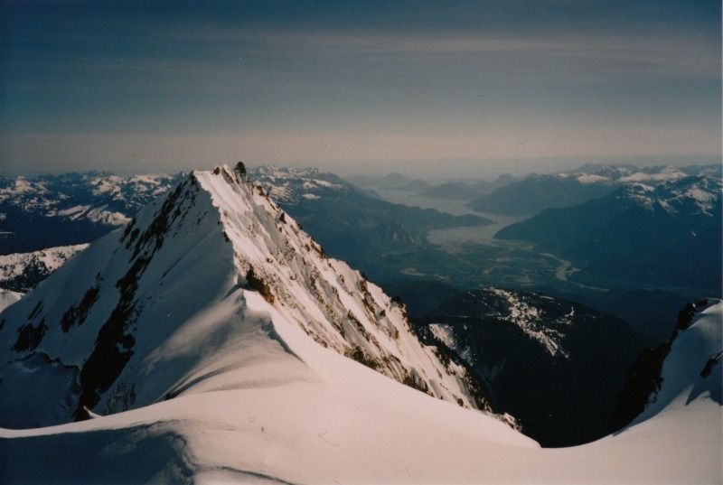 garibaldi10