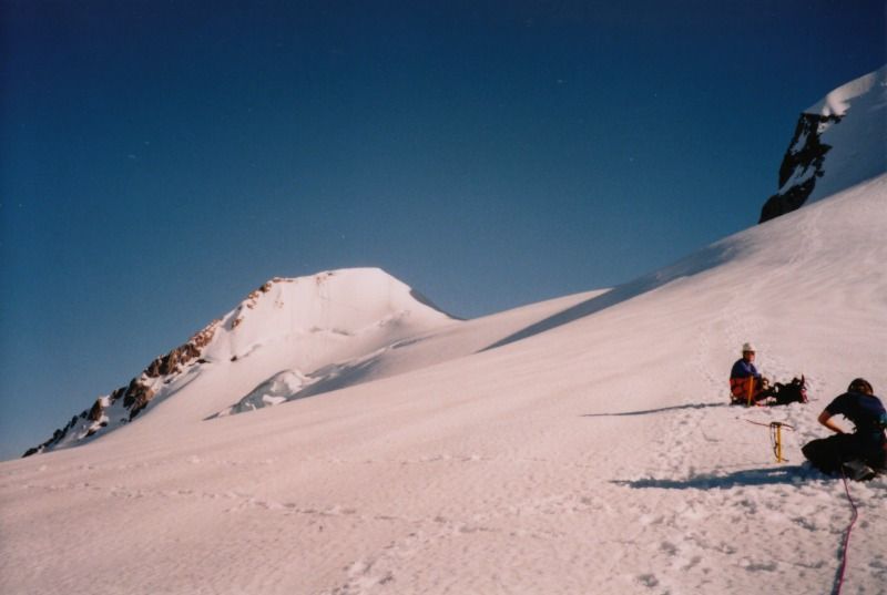 garibaldi11