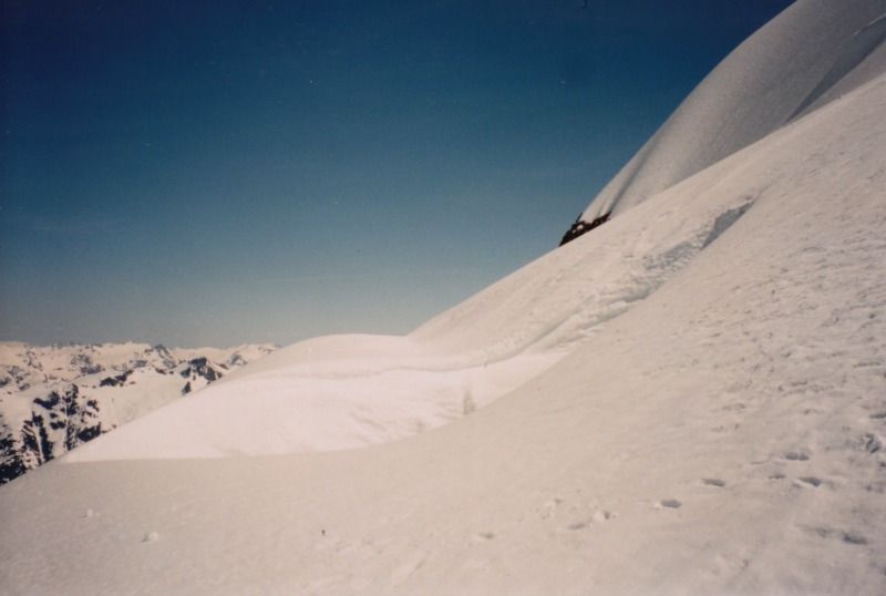 garibaldi16