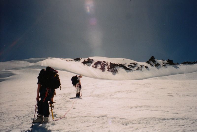 garibaldi17