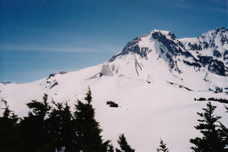 garibaldi2