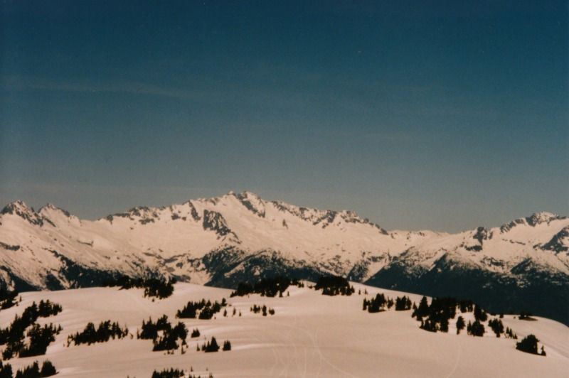 garibaldi23