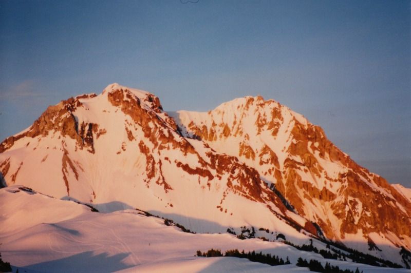 garibaldi32