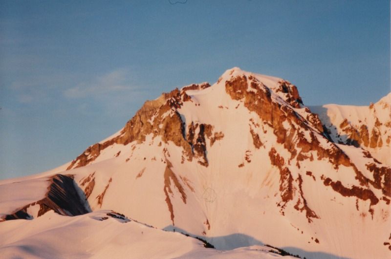 garibaldi33