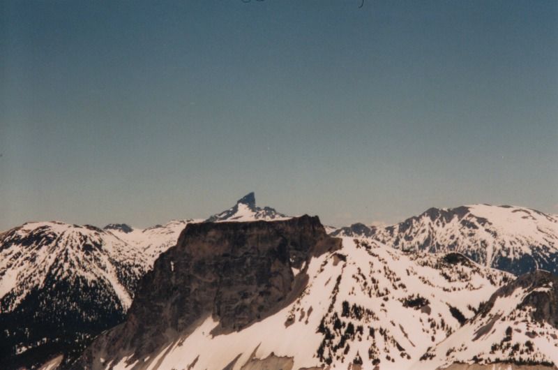 garibaldi34