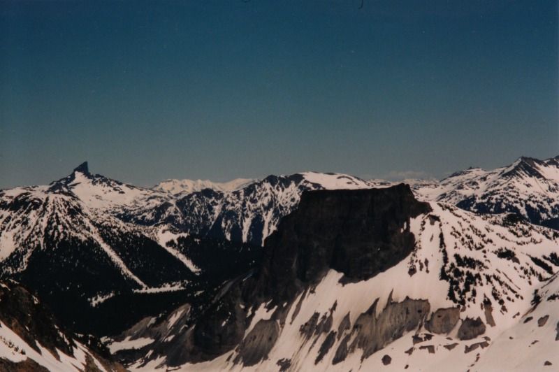 garibaldi35