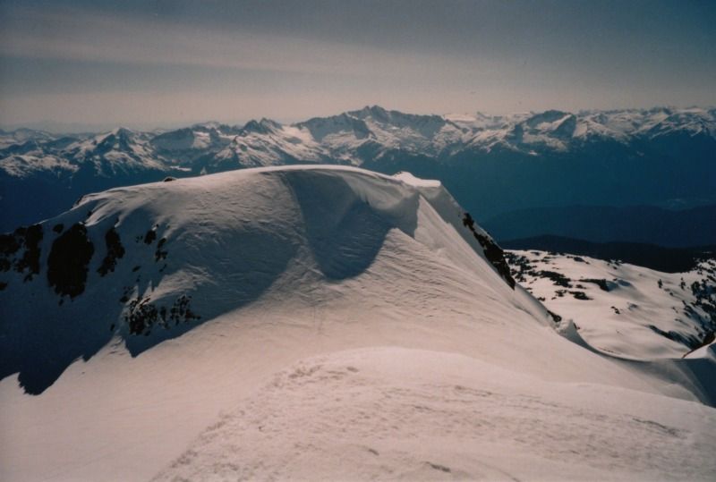 garibaldi8