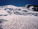 1rainier6