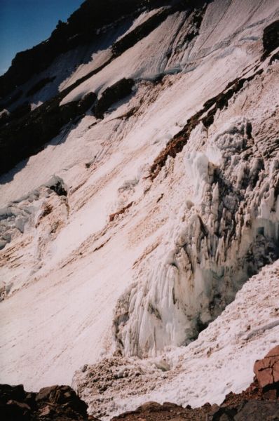 rainierk41