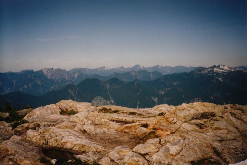 seymour3