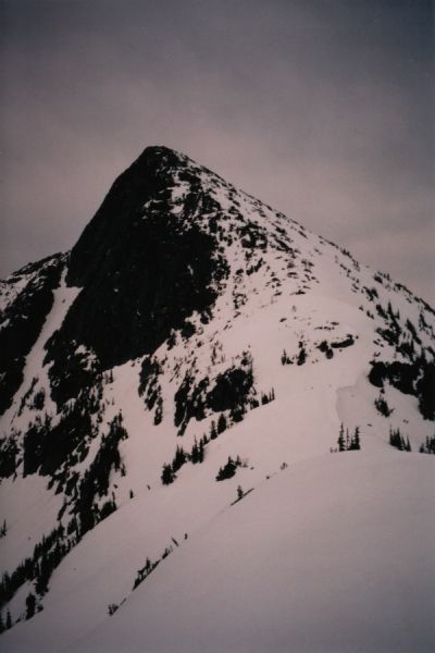 webb1