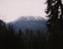 norvan2