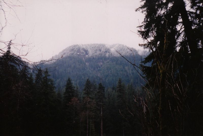 norvan2