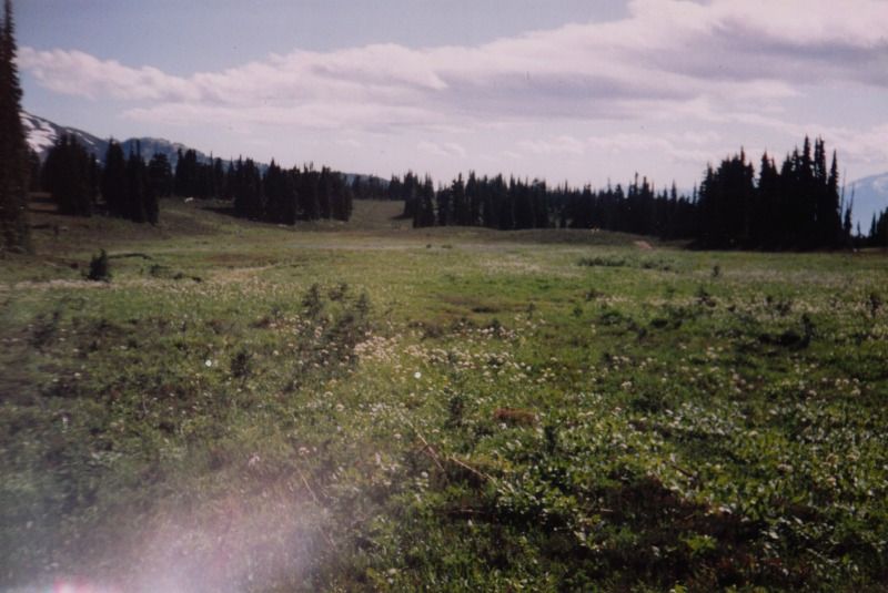 panoramaridge13