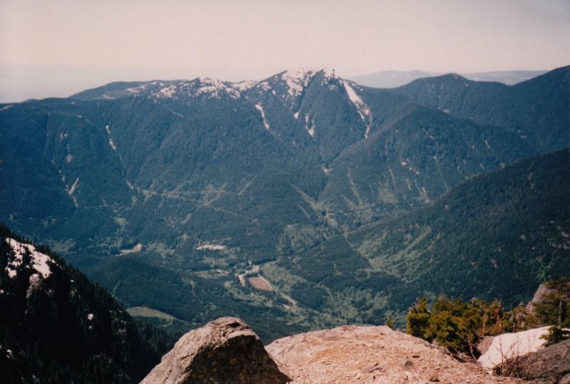 needles1
