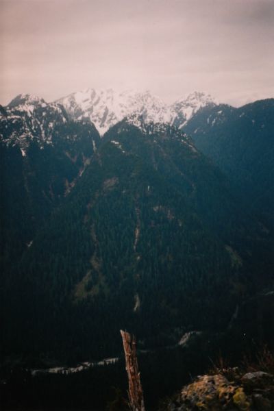 needles2