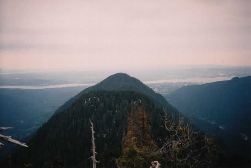 needles4