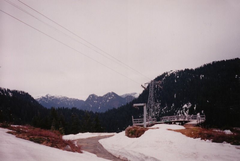 fromme1