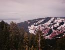 fromme2
