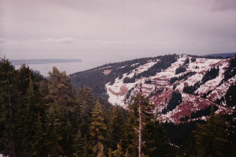 fromme2