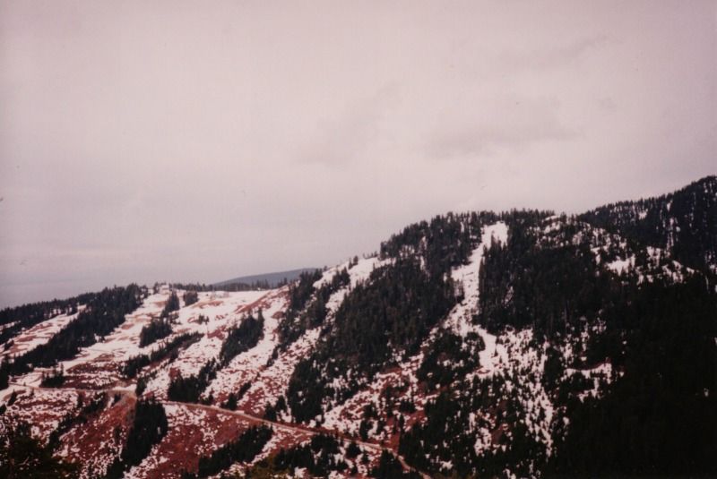 fromme3