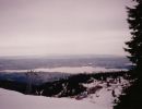 fromme5
