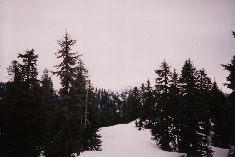 fromme6