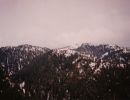 fromme7