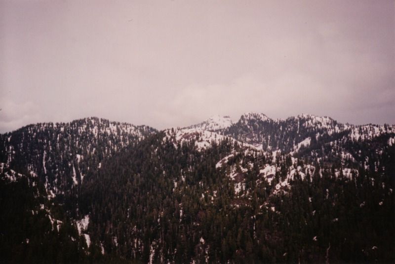 fromme7