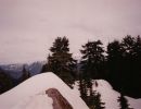 fromme8