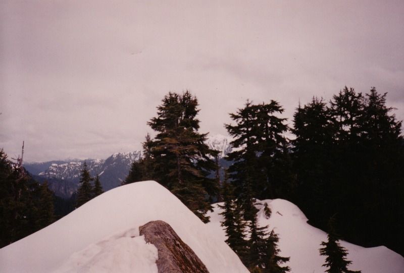 fromme8
