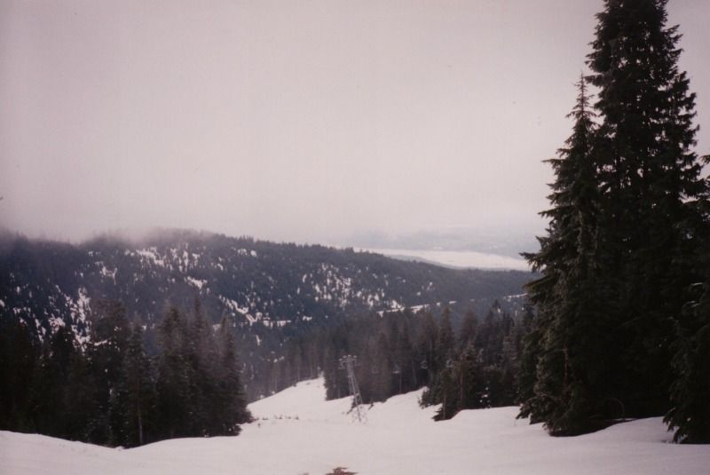 fromme9